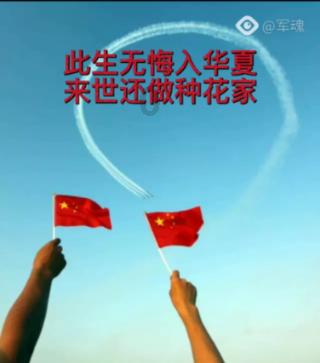 除虫大师